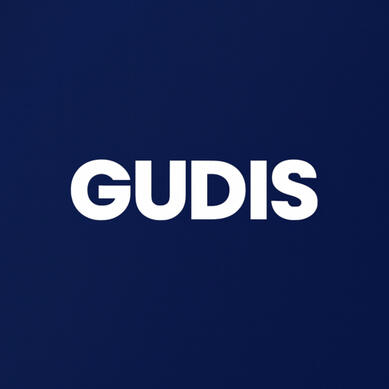 gudis international limited